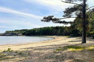 Bilde av Nordre Trubervika